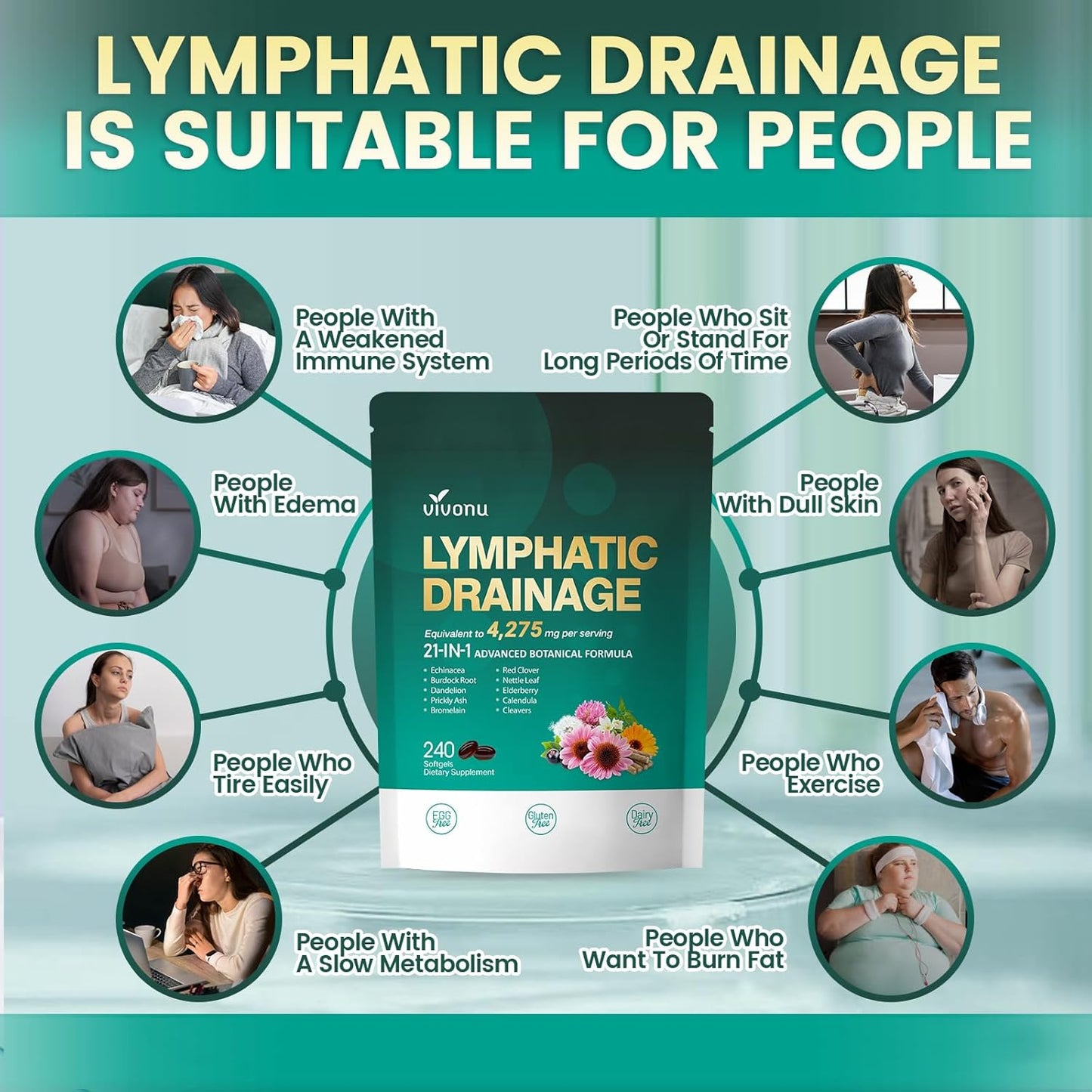 Lymphatic Drainage Supplement (240 Softgels)